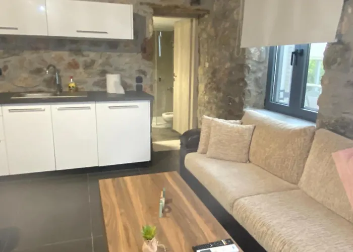 V&m Traditional Luxury * تولو